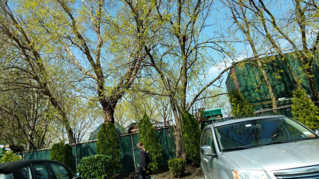 Street-level daytime example from Astoria Nyc, cropped to show the local street context.