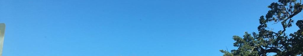 Street-level daytime example from Downtown Austin, cropped to the local street backdrop.