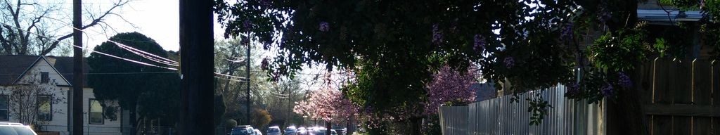 Street-level low light example from Downtown Austin, cropped to the local street backdrop.