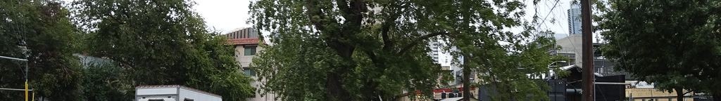 Street-level low light example from Downtown Austin, cropped to the local street backdrop.