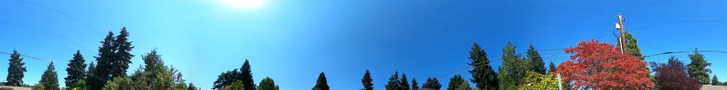Street-level daytime example from Downtown Bellevue, cropped to the local street backdrop.