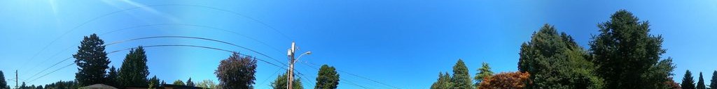 Street-level daytime example from Downtown Bellevue, cropped to the local street backdrop.