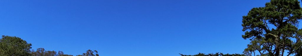 Street-level daytime example from Golden Gate Park Sf, cropped to the local street backdrop.