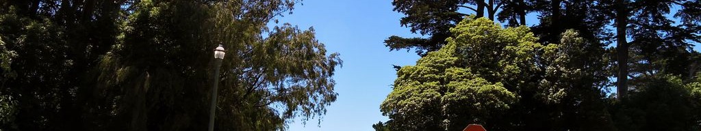 Street-level low light example from Golden Gate Park Sf, cropped to the local street backdrop.