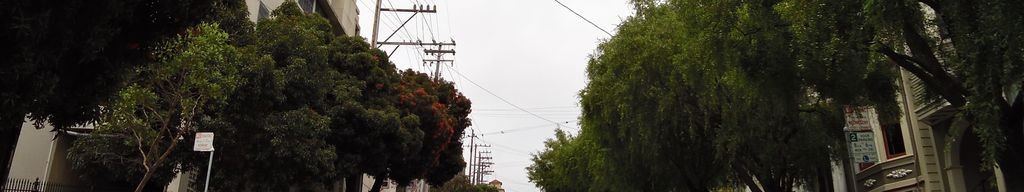 Street-level low light example from Golden Gate Park Sf, cropped to the local street backdrop.
