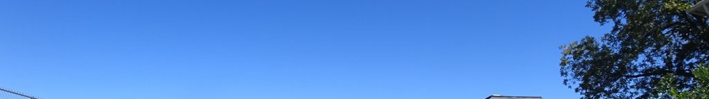 Street-level daytime example from Hyde Park Austin, cropped to the local street backdrop.