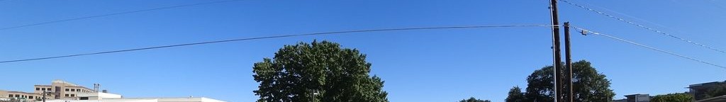 Street-level daytime example from Hyde Park Austin, cropped to the local street backdrop.