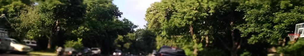 Street-level low light example from Hyde Park Austin, cropped to the local street backdrop.