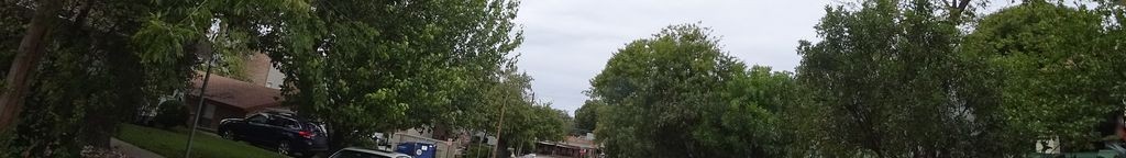 Street-level low light example from Hyde Park Austin, cropped to the local street backdrop.