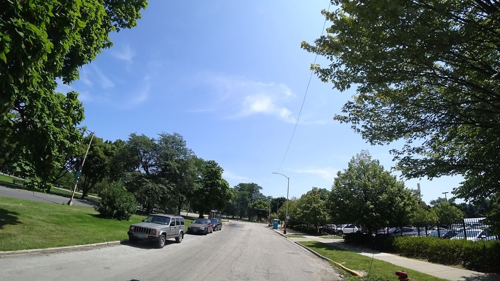 Street-level daytime example from Hyde Park South Side Chicago, cropped to show the local street context.