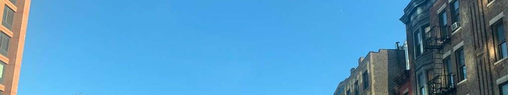 Street-level daytime example from Park Slope Nyc, cropped to the local street backdrop.