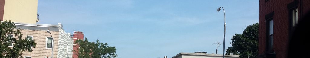 Street-level low light example from Park Slope Nyc, cropped to the local street backdrop.