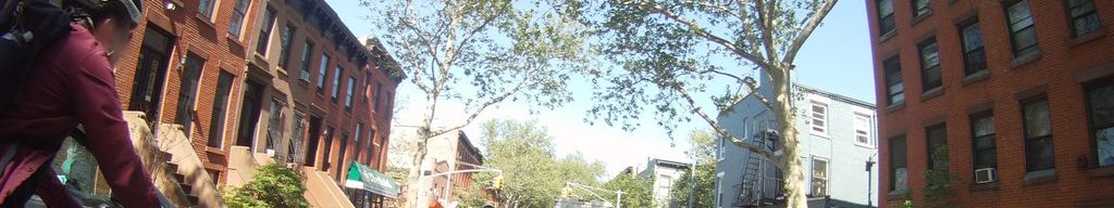 Street-level low light example from Park Slope Nyc, cropped to the local street backdrop.