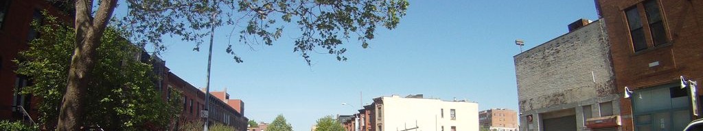 Street-level low light example from Park Slope Nyc, cropped to the local street backdrop.