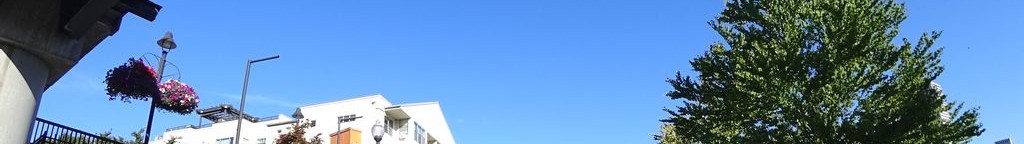 Street-level daytime example from Portland Downtown Pearl, cropped to the local street backdrop.