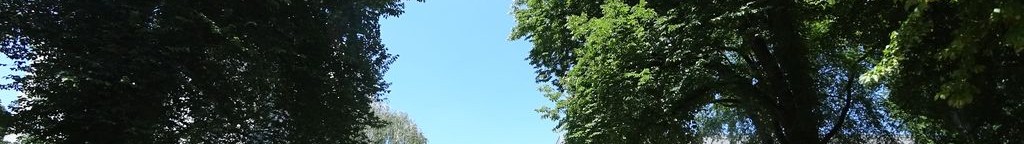 Street-level low light example from Portland Downtown Pearl, cropped to the local street backdrop.