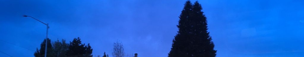 Street-level daytime example from Portland East 82Nd, cropped to the local street backdrop.