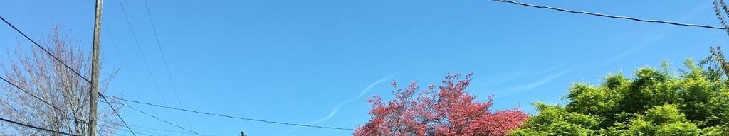 Street-level daytime example from Portland East 82Nd, cropped to the local street backdrop.