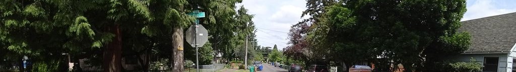 Street-level low light example from Portland East 82Nd, cropped to the local street backdrop.