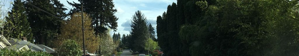 Street-level low light example from Portland East 82Nd, cropped to the local street backdrop.