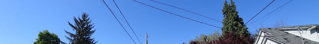 Street-level daytime example from Portland Hawthorne Division Belmont, cropped to the local street backdrop.