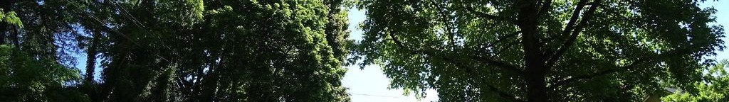 Street-level low light example from Portland Hawthorne Division Belmont, cropped to the local street backdrop.