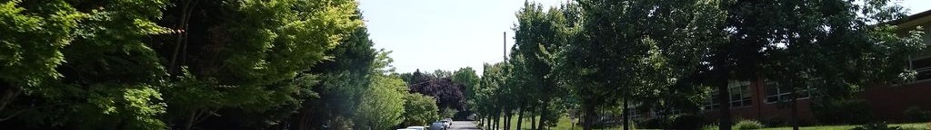 Street-level low light example from Portland Hawthorne Division Belmont, cropped to the local street backdrop.