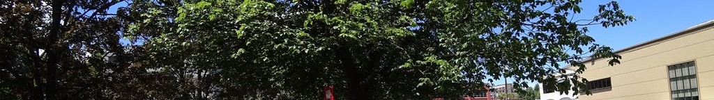 Street-level low light example from Portland Northwest Slabtown, cropped to the local street backdrop.