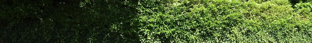 Street-level low light example from Portland Northwest Slabtown, cropped to the local street backdrop.