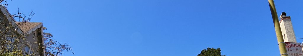 Street-level daytime example from Richmond Sunset Sf, cropped to the local street backdrop.