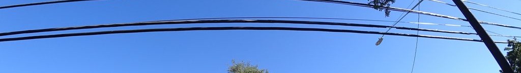 Street-level daytime example from South Congress Austin, cropped to the local street backdrop.