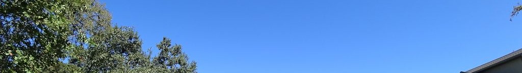 Street-level daytime example from South Congress Austin, cropped to the local street backdrop.