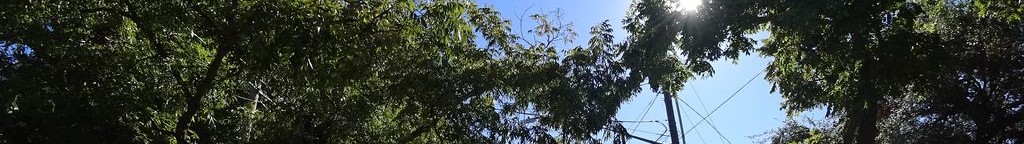 Street-level low light example from South Congress Austin, cropped to the local street backdrop.