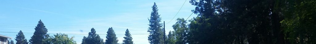 Street-level daytime example from Spokane, cropped to the local street backdrop.