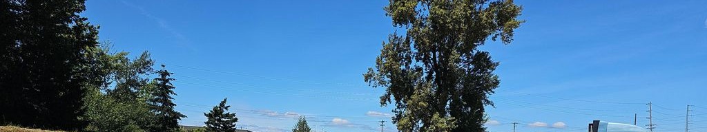 Street-level daytime example from Tacoma, cropped to the local street backdrop.