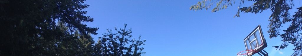 Street-level daytime example from Tacoma, cropped to the local street backdrop.