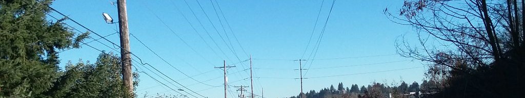 Street-level daytime example from Tacoma, cropped to the local street backdrop.