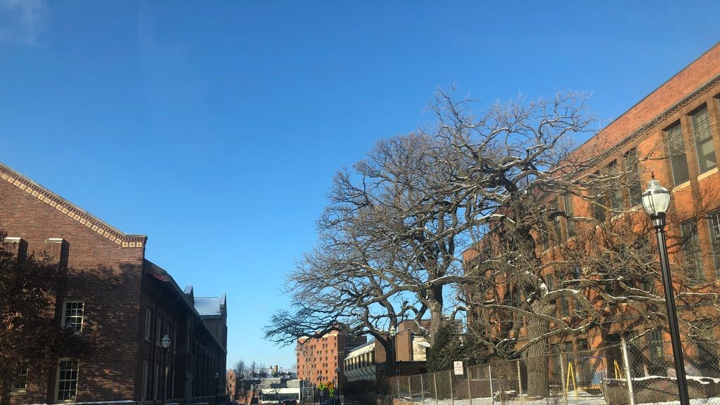 Street-level daytime example from University Dinkytown Minneapolis, cropped to show the local street context.