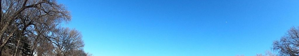 Street-level daytime example from Upper West Side Nyc, cropped to the local street backdrop.