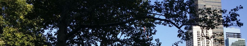 Street-level low light example from Upper West Side Nyc, cropped to the local street backdrop.