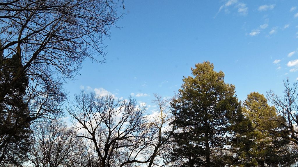 Street-level daytime example from Uptown Chain Of Lakes Minneapolis, cropped to show the local street context.