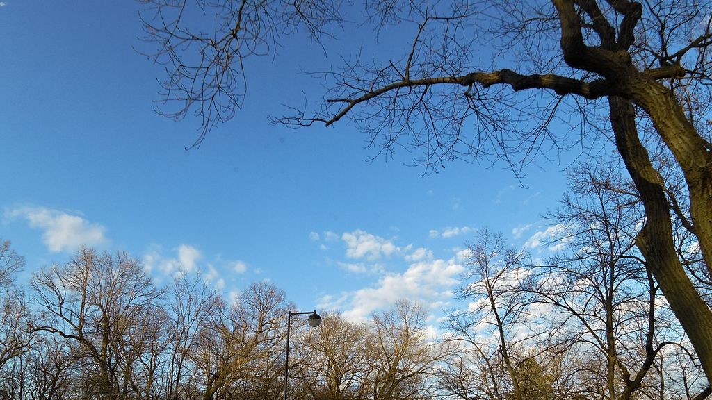 Street-level daytime example from Uptown Chain Of Lakes Minneapolis, cropped to show the local street context.