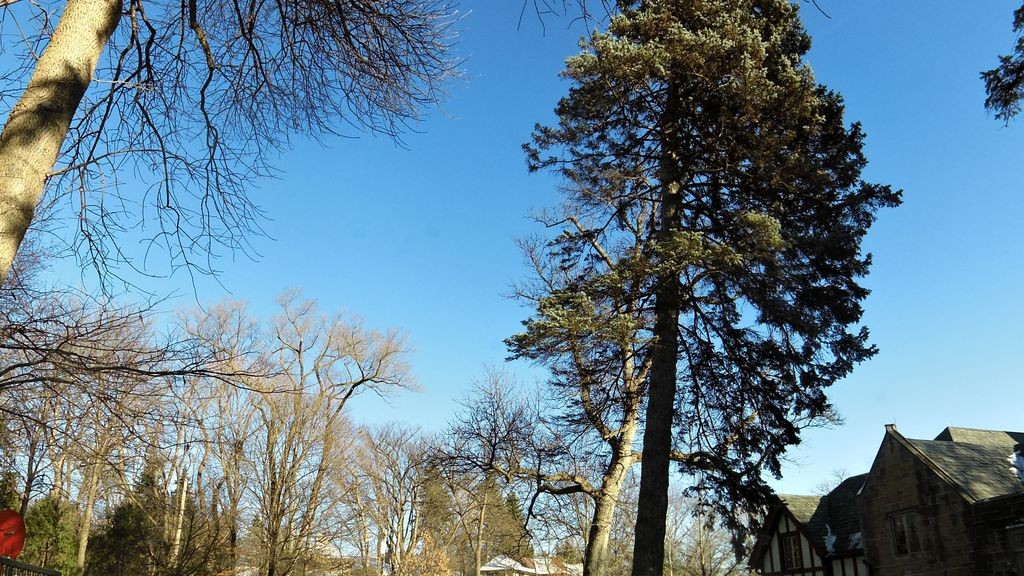 Street-level low light example from Uptown Chain Of Lakes Minneapolis, cropped to show the local street context.