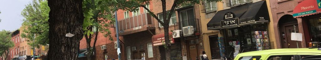 Street-level low light example from Williamsburg Nyc, cropped to the local street backdrop.