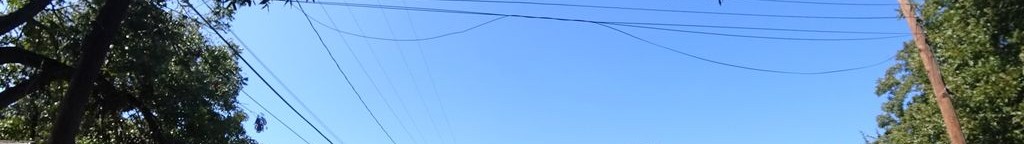 Street-level daytime example from Zilker Barton Springs Austin, cropped to the local street backdrop.