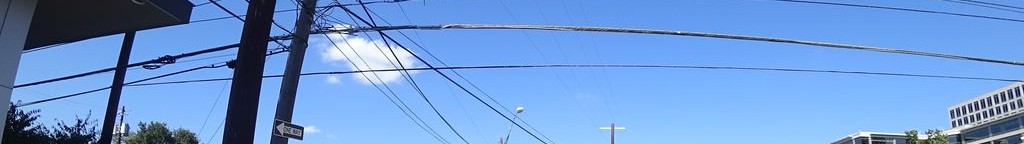 Street-level daytime example from Zilker Barton Springs Austin, cropped to the local street backdrop.